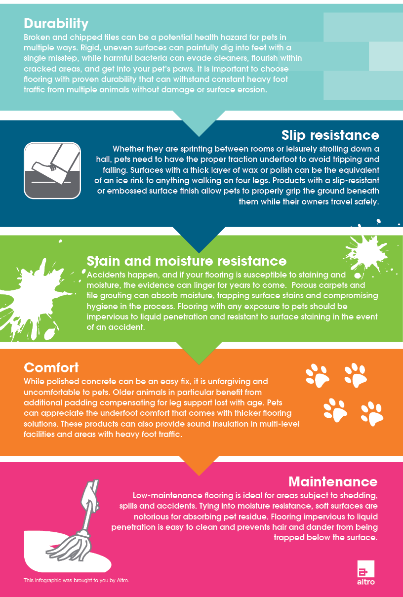 Pet-friendly priorities infographic