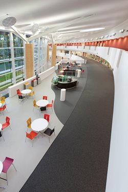 Link to Brochures. A large atrium / breakout space.