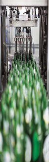 Link to Food, Drink and Pharmaceutical. A production line of green bottles.
