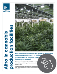 Cannabis production facilities flyer